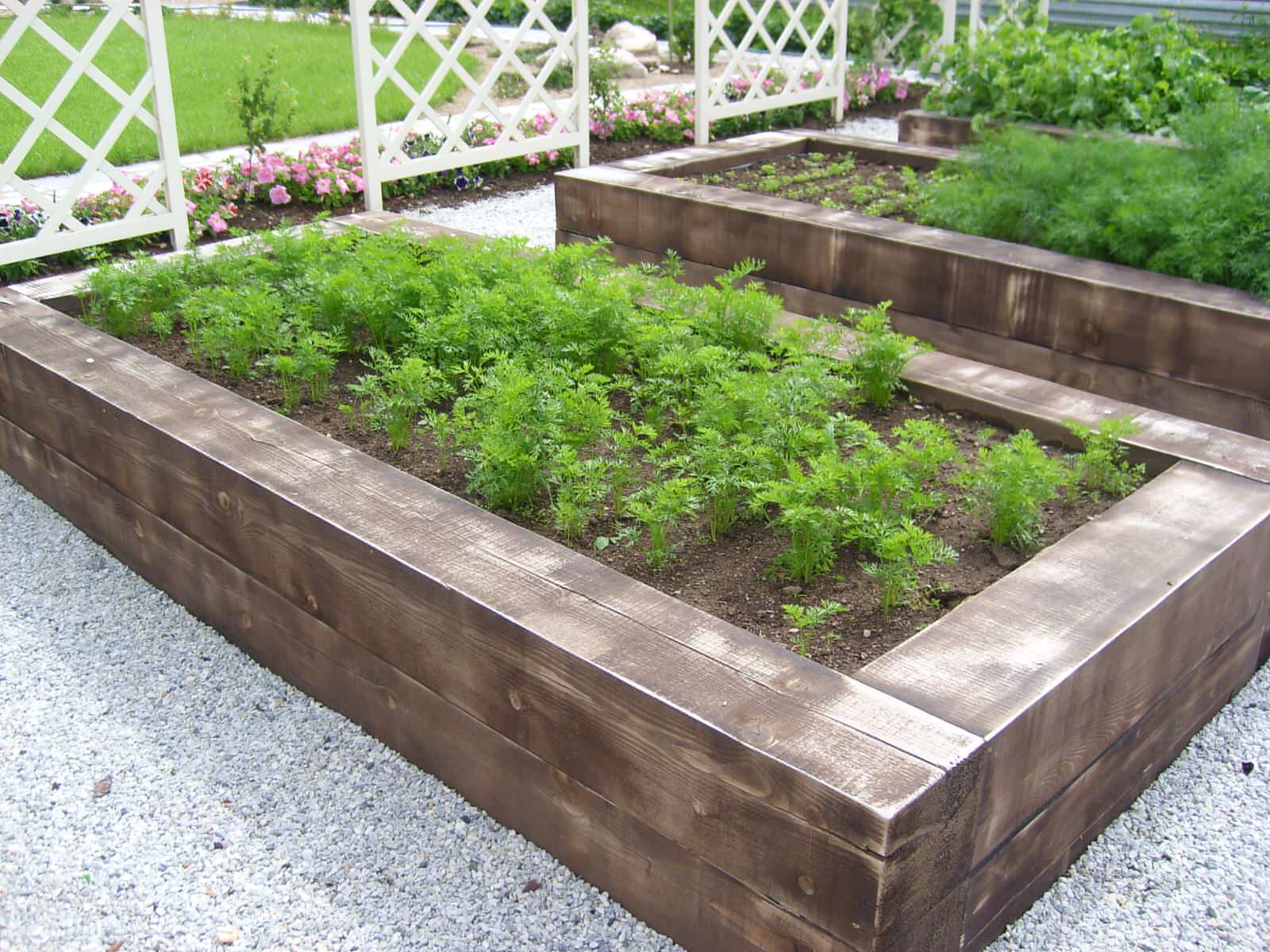 Декоративный огород - красиво и практично.