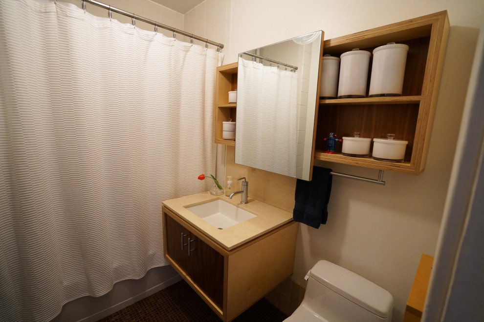 Residential Renovation at 4618 Modern Bathroom Kansas City by