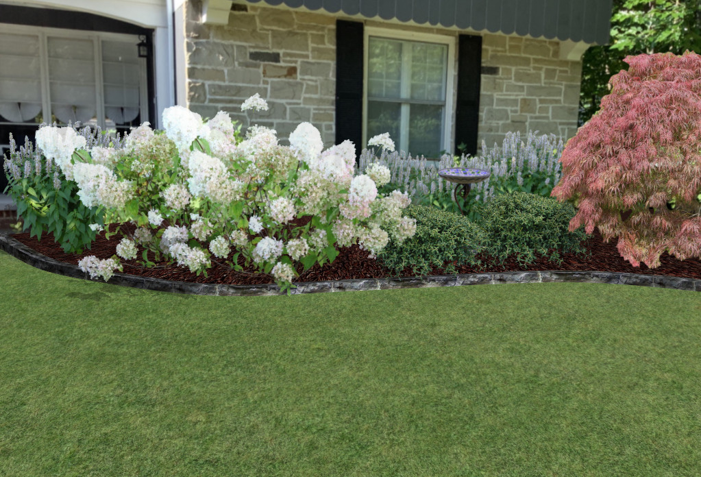 Foundation Plantings