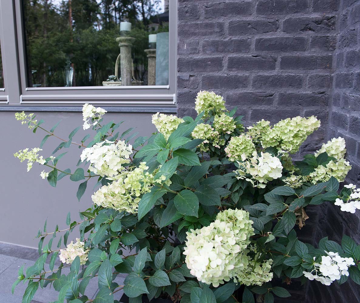 Сад пять уровней комфорта