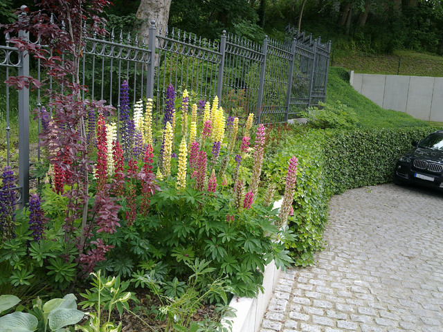 Referenzen garden