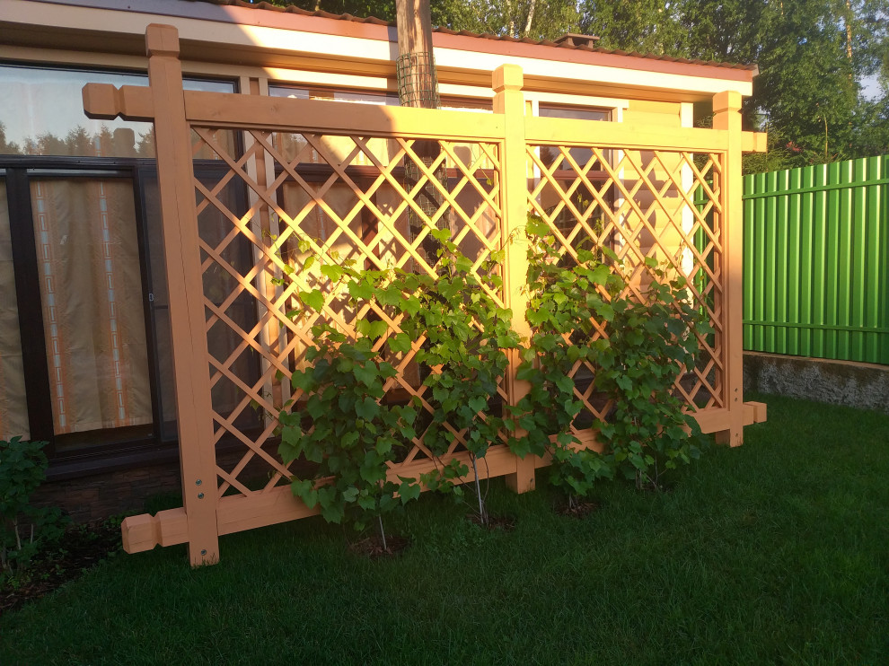 большая ижора