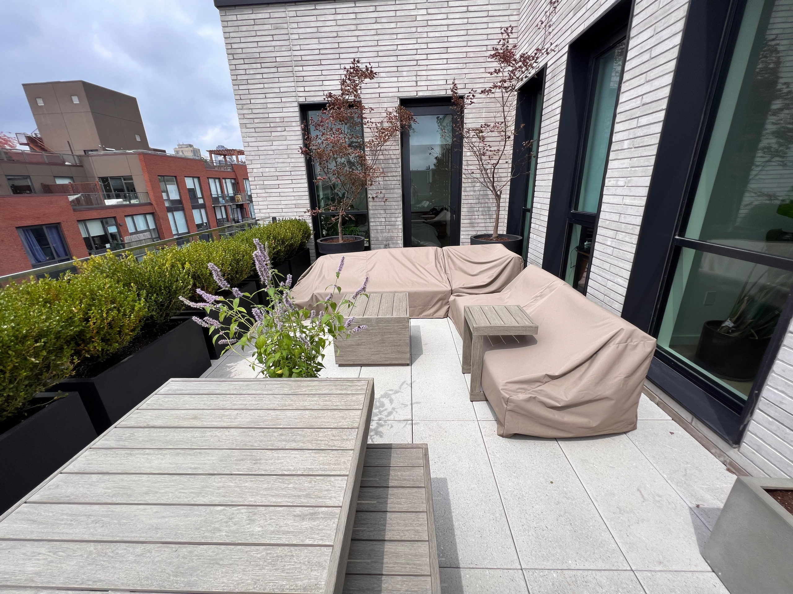 Williamsburg new terrace