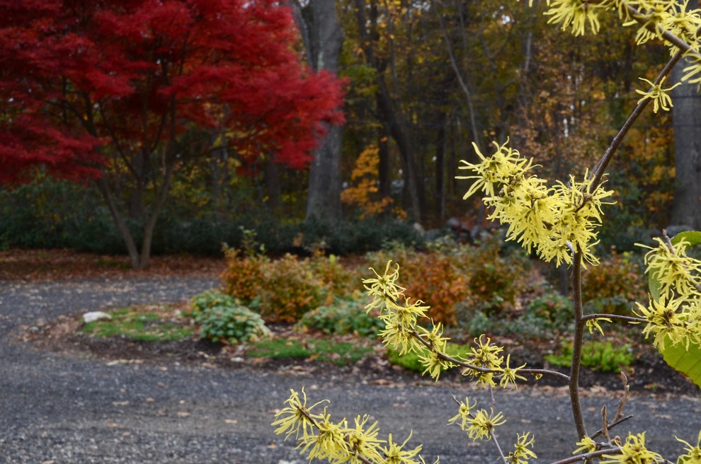 Design ideas for a mid-sized transitional front yard partial sun driveway for fall in Boston with gravel.