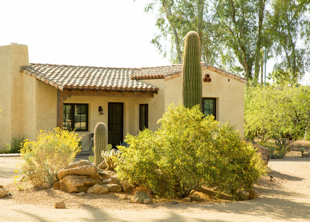 Design ideas for an expansive front yard xeriscape in Phoenix.