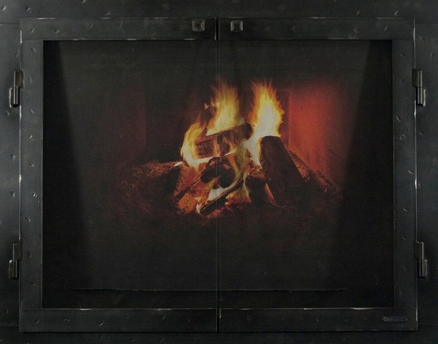 Iron Fireplace Glass Door Gate Mesh 2 1 2 Frame Industrial