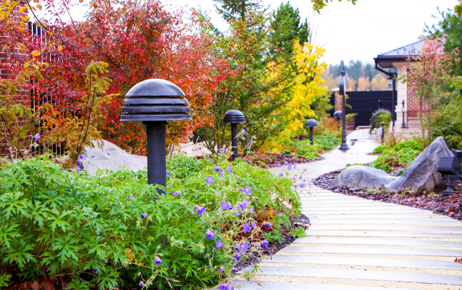 Горки-10, 2017-2020 г.г.