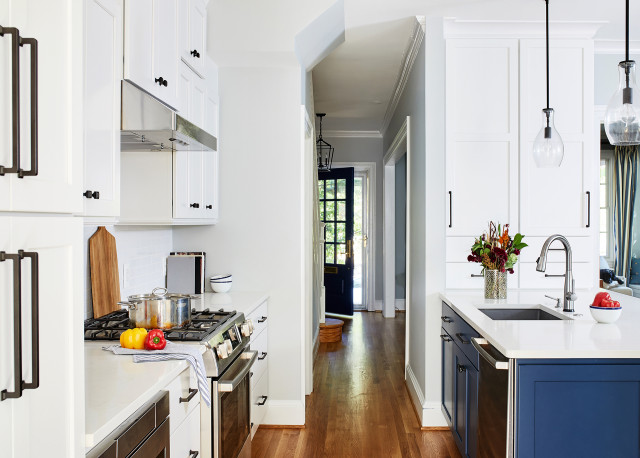 Kitchen and Interior Remodel in Washington, DC transitional-kitchen