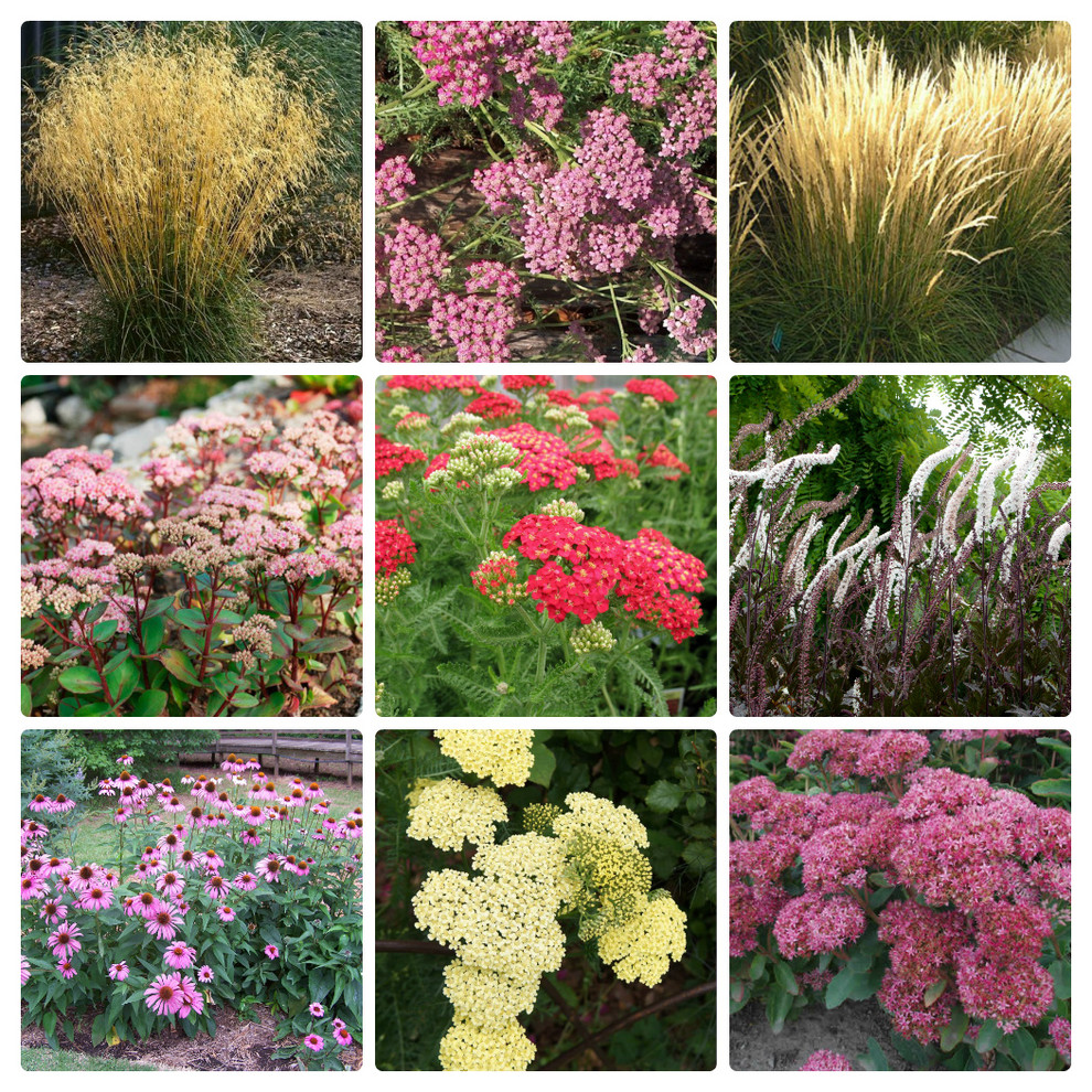 Рижское взморье