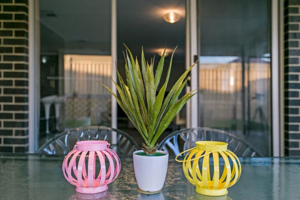 This is an example of a small contemporary backyard patio in Adelaide with a roof extension.