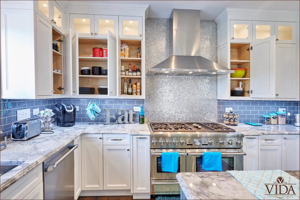Kitchen - transitional u-shaped kitchen idea in Chicago