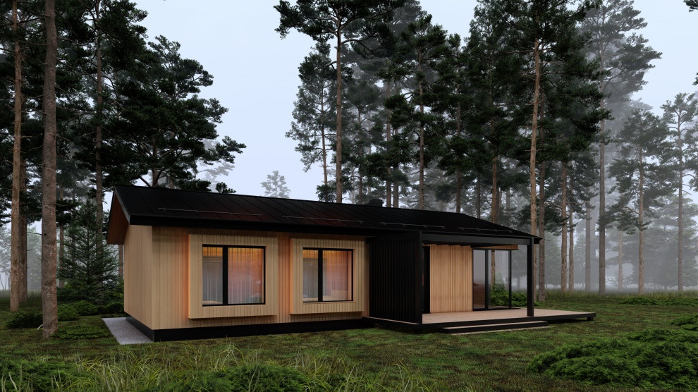 Большой дом для Tiny House