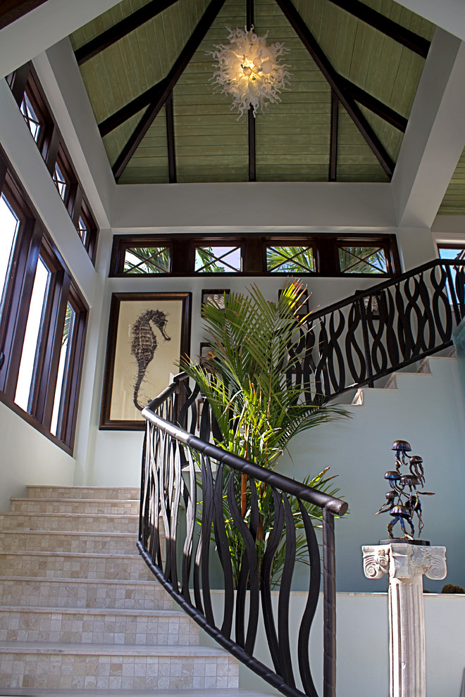 Design ideas for a large tropical front door in Miami with blue walls, a double front door, a dark wood front door, beige floor and marble floors.
