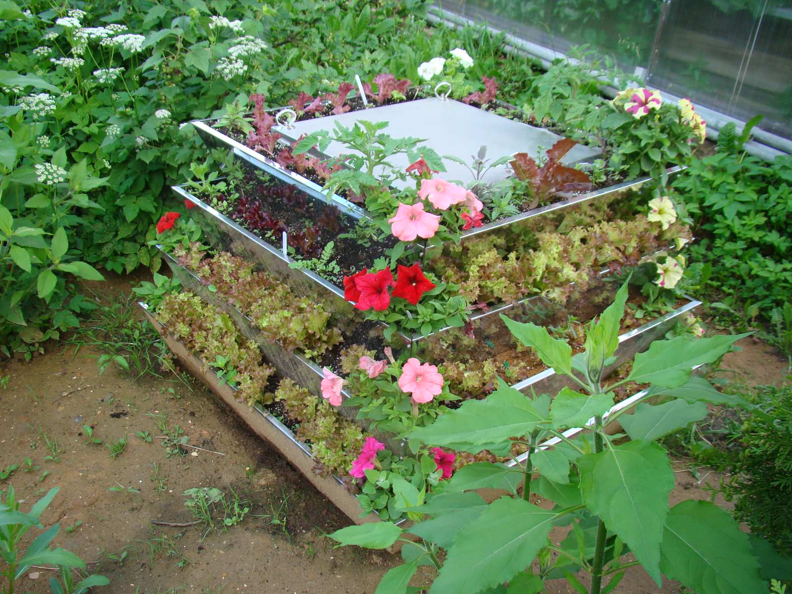 САМЫЙ КРАСИВЫЙ КОМПОСТЕР