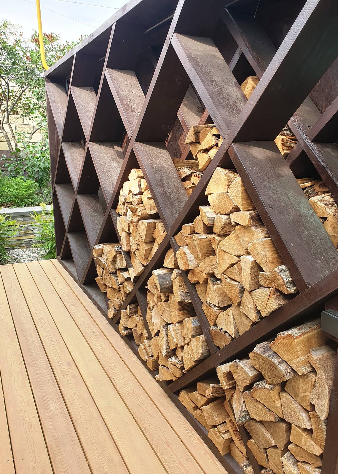 Сад с розами