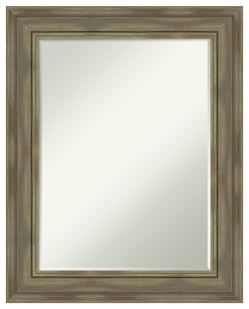 Alexandria Greywash Petite Bevel Wood Wall Mirror 24 x 30 in