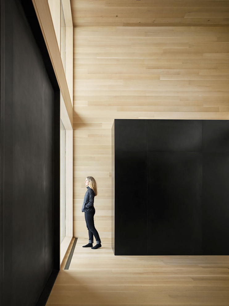 Idées déco pour une entrée moderne en bois avec parquet clair, une porte pivot, une porte noire et un plafond en bois.