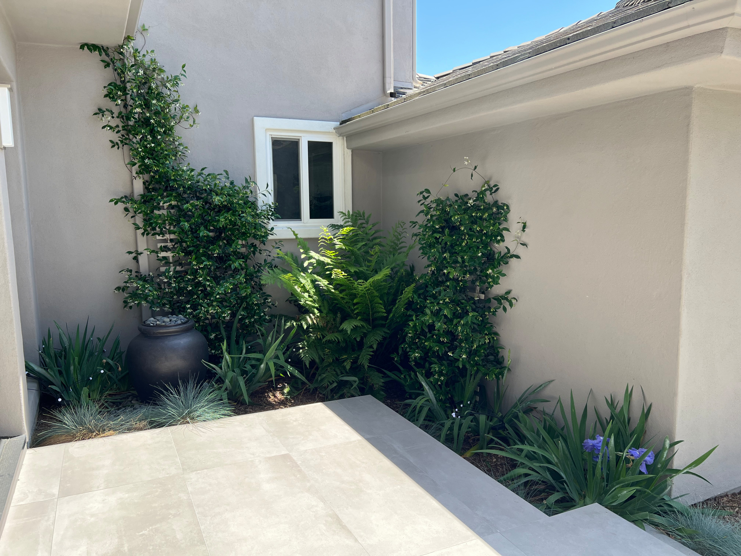 Modern Scripps Ranch Living
