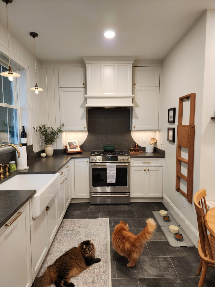 16831 - The Purrfect Kitchen