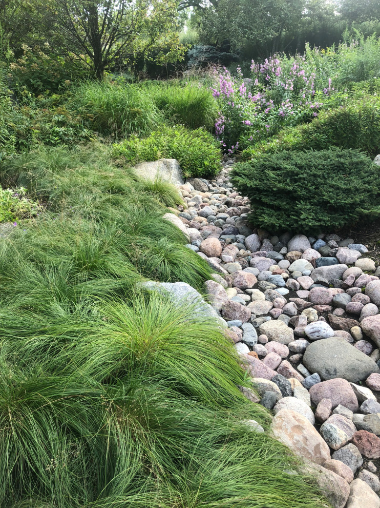 Dry Stream Bed