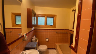 Large New Shower for a 56-Square-Foot Bathroom (14 photos)