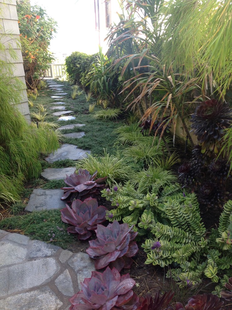 This is an example of a traditional side yard shaded garden in Orange County.