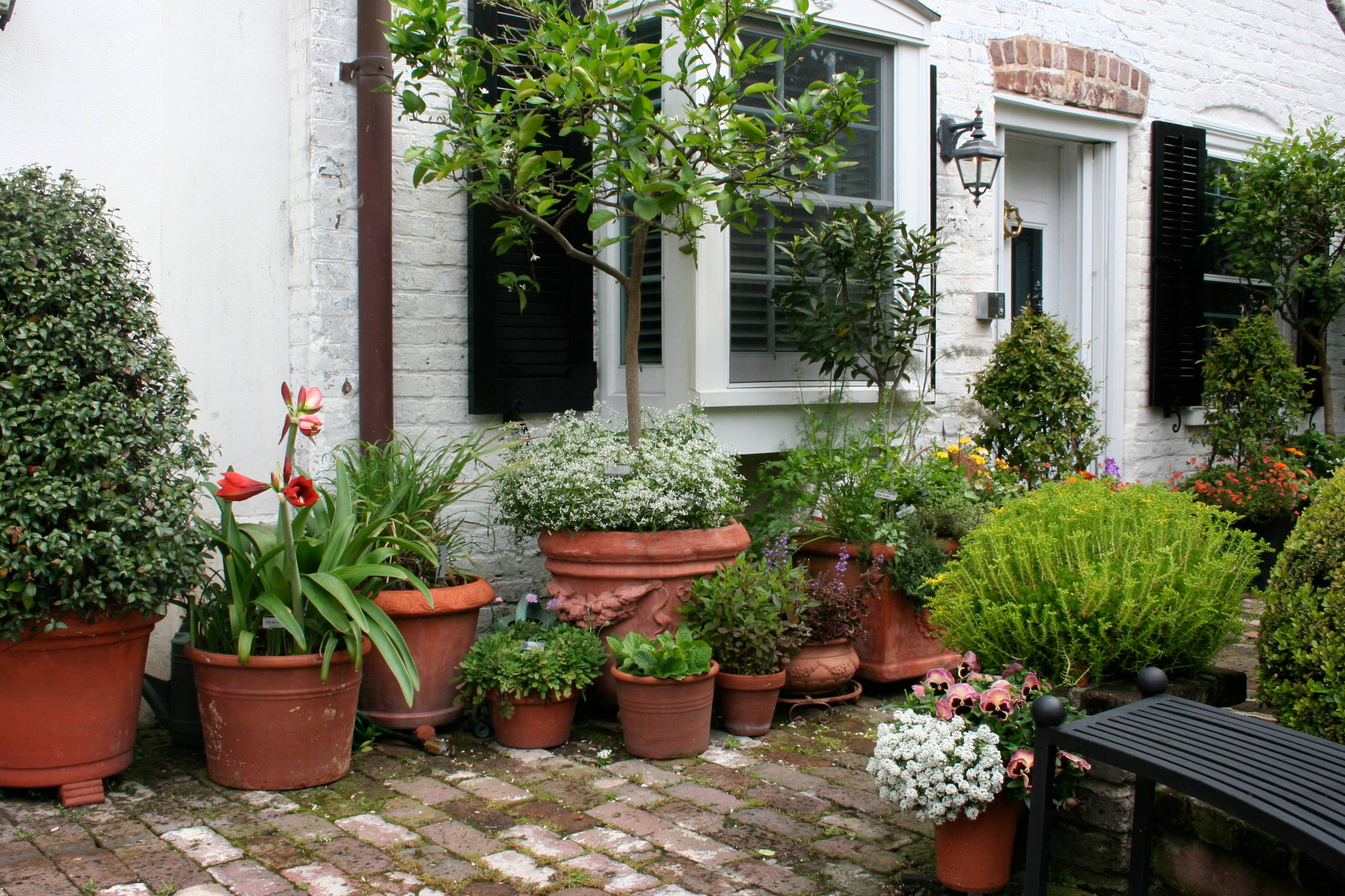 Kreative Gartengestaltung mit Pflanzkbeln und Topfpflanzen