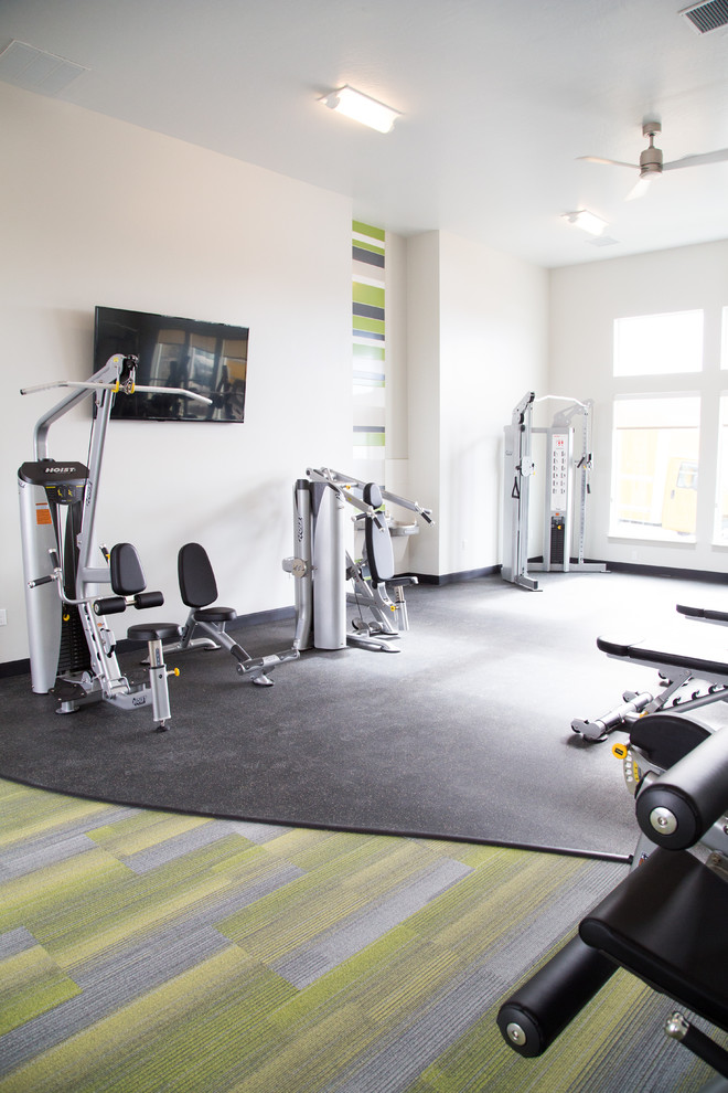 This is an example of a home gym in Salt Lake City.