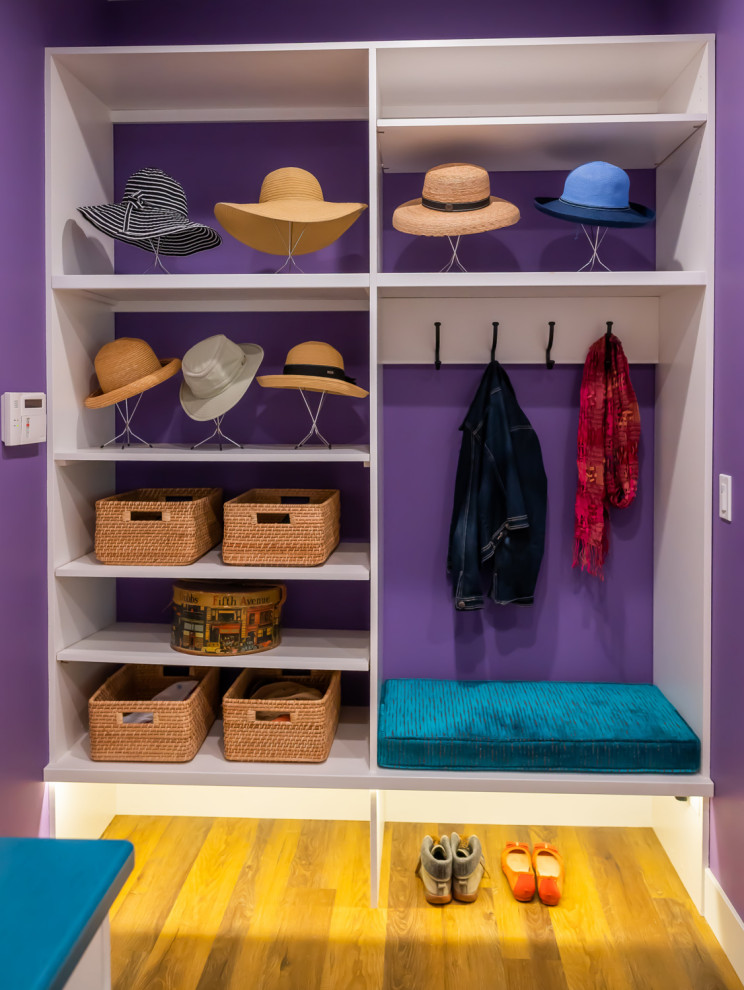 Photo of a modern laundry cupboard in Cedar Rapids with medium hardwood floors, purple walls and brown floor.