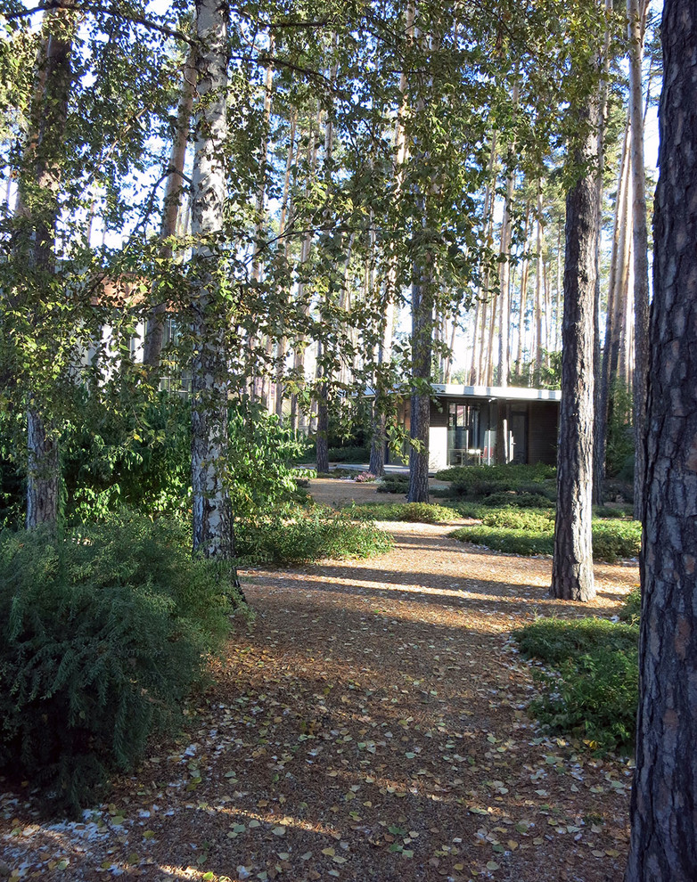 Лесные дорожки, явные и неявные