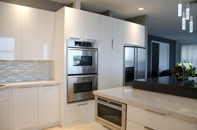 SILK contemporary-kitchen