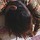 chelsea_pimentel
