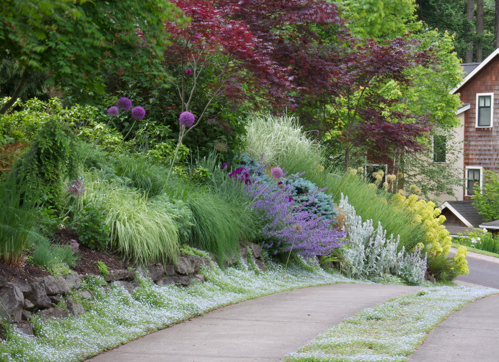 Inspiration for a traditional front yard driveway in Other.