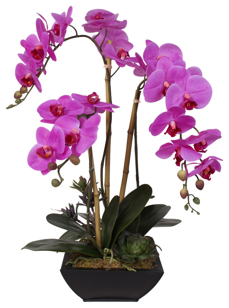 Real Touch Phalaenopsis Silk Orchids With Succulents in Metal Container