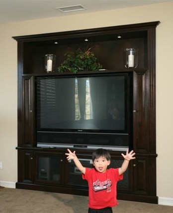 This is an example of a transitional home theatre in Orange County.
