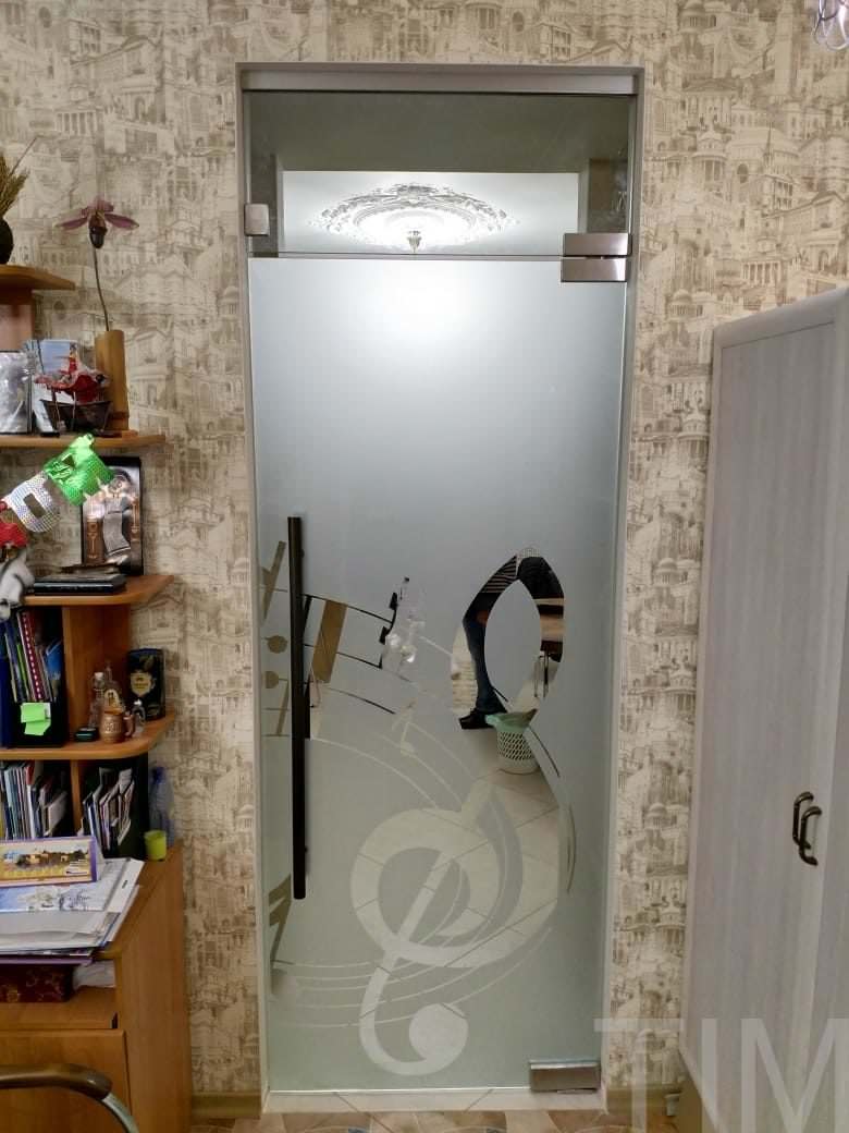 Стеклянная дверь маятниковая с доводчиком