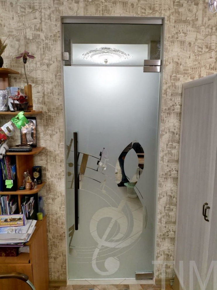 Стеклянная дверь маятниковая с доводчиком