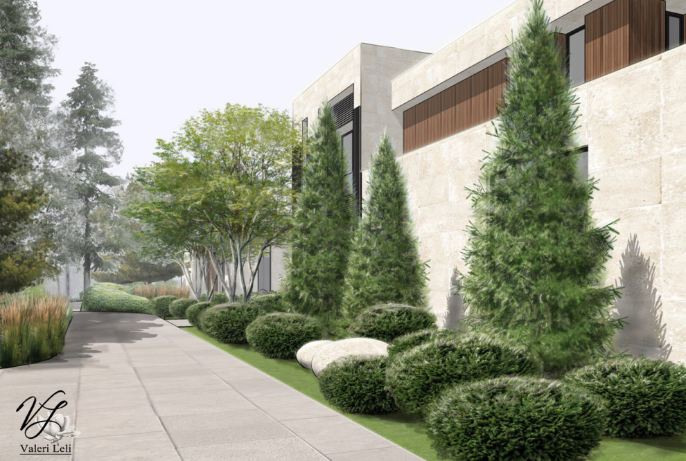 Современный лес