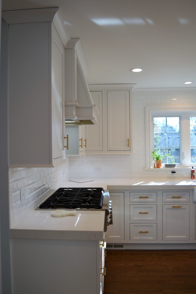 Transitional home design photo in Chicago