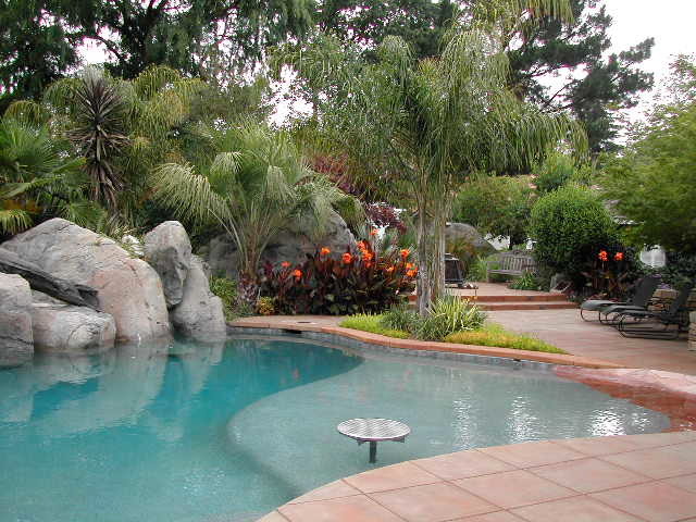 Design ideas for a tropical pool in San Francisco.