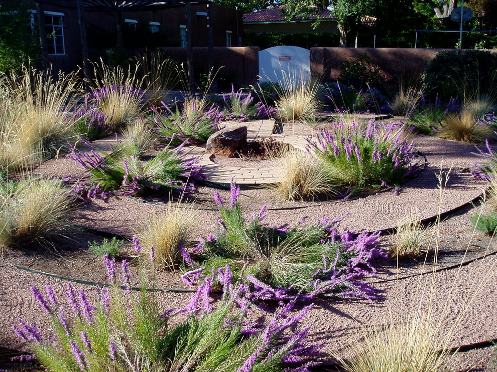Photo of an eclectic garden in Albuquerque.
