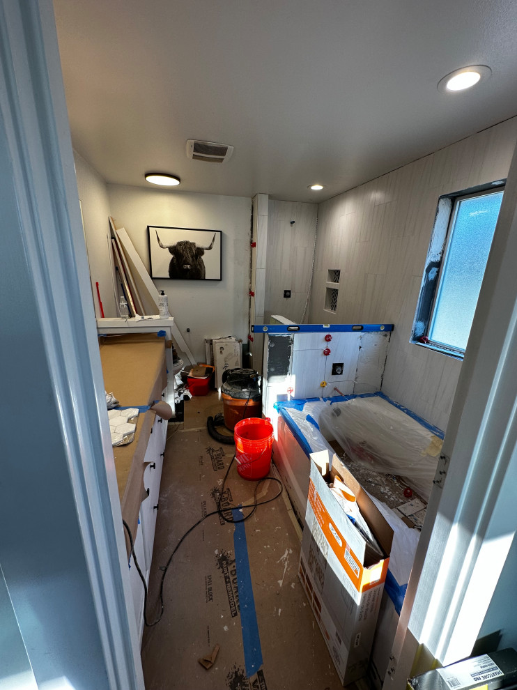 Master Bathroom Remodel