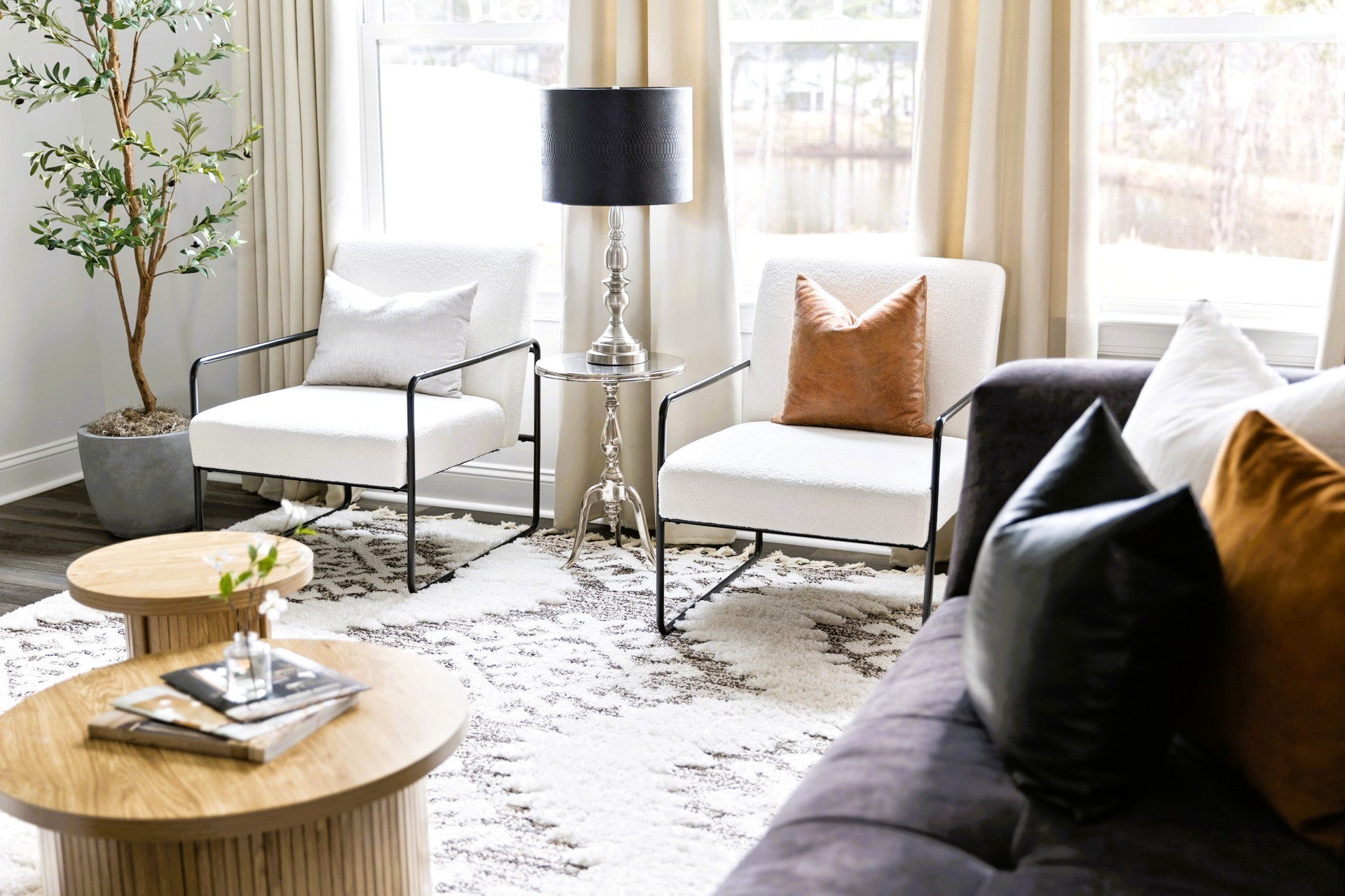 Contemporary Living Room - Durham, NC