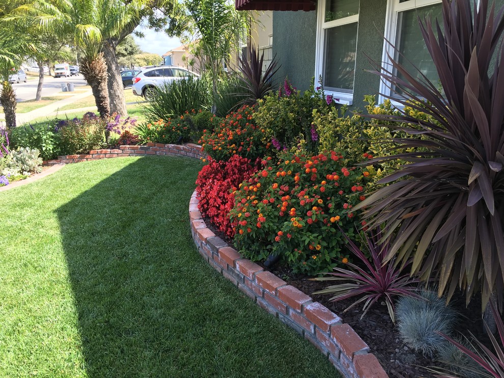 Long Beach Drought Tolerant Landscape - Landscape - Orange County - by