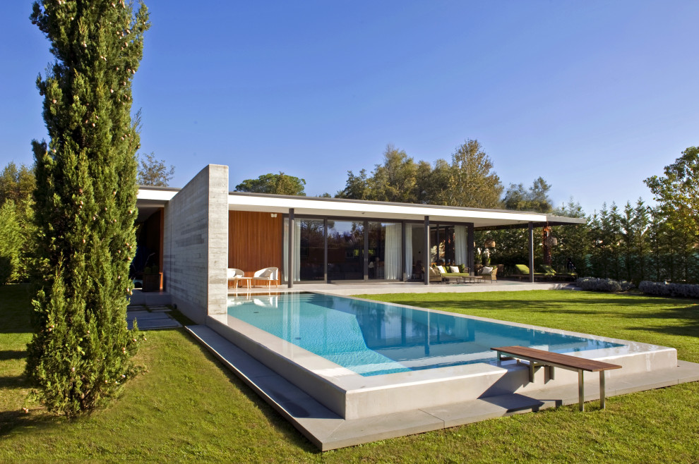 Cette image montre un grand piscine avec aménagement paysager avant minimaliste rectangle avec une dalle de béton.