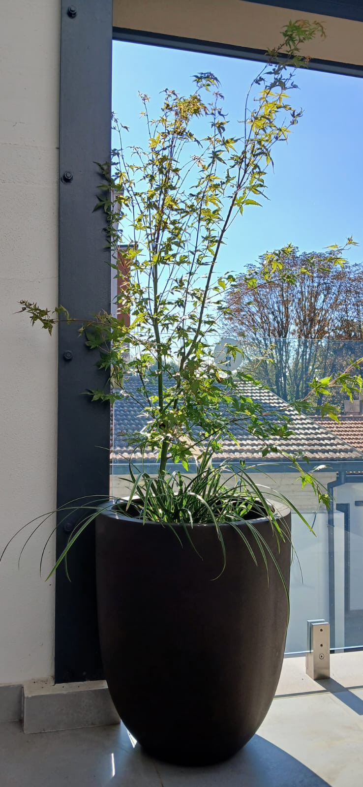 Realizzazione Wild in the city