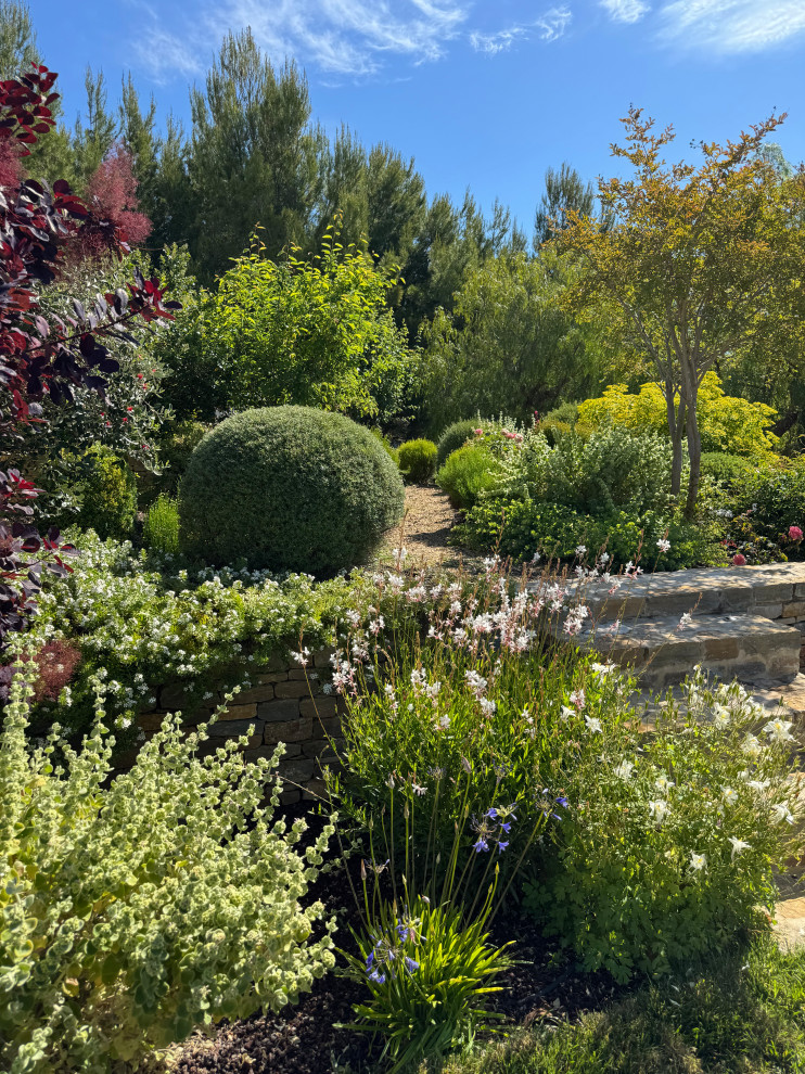 La Ciotat (Bouches du Rhône) - Jardin méditerranéen en restanques