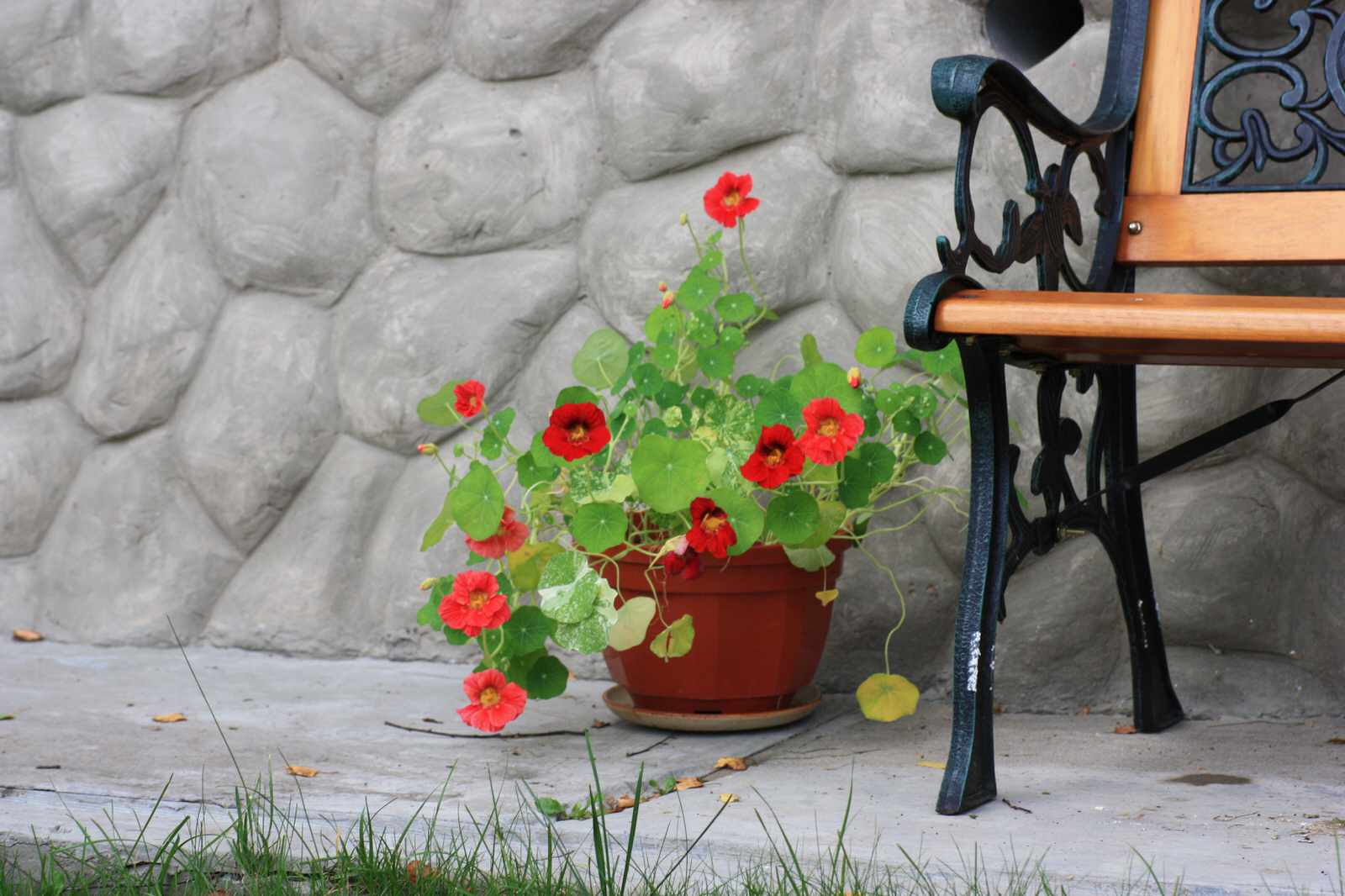 Вписываясь в природу