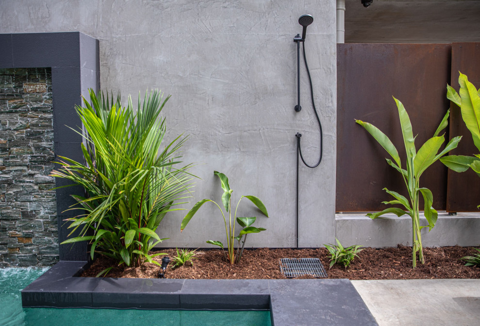 Inspiration for a tropical pool in Cairns.