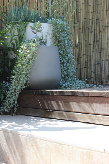 Texture & Colour contemporary-garden